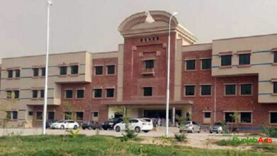 Top 10 Hospitals in Vehari