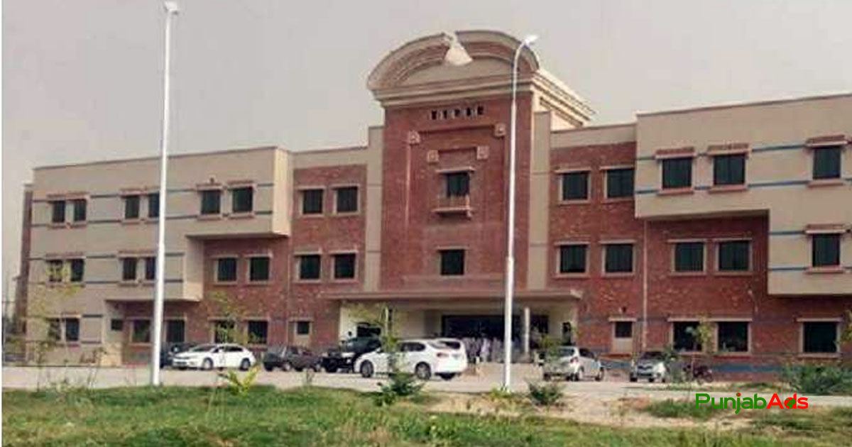 Top 10 Hospitals in Vehari