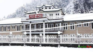 Top 10 Hotels in Kalam