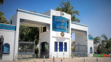Top 10 Universities in Sargodha
