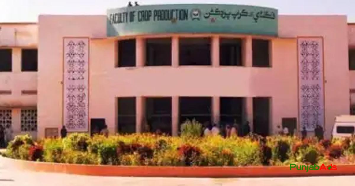 Top 10 Colleges in Chak