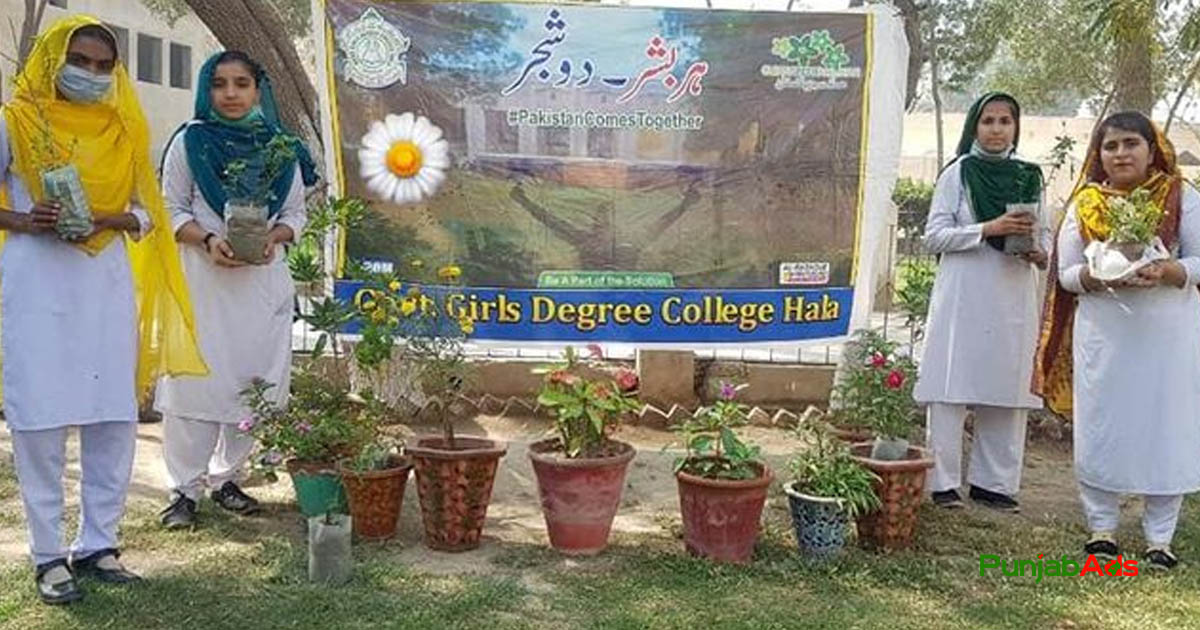 Top 10 Colleges in Hala