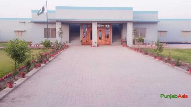 Top 10 Colleges in Kashmore