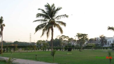 Top 10 Parks in Kashmore