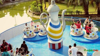 Top 10 Parks in Vehari