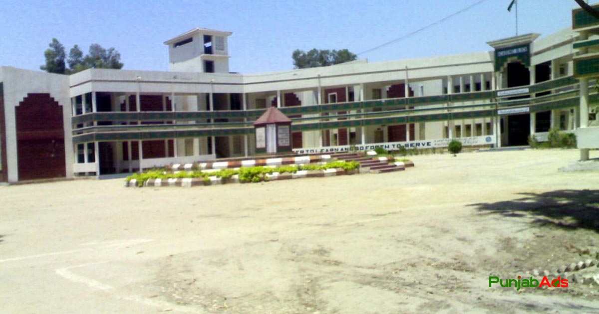 Top 10 Schools in Dadu