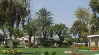 Top 10 Schools in Daharki