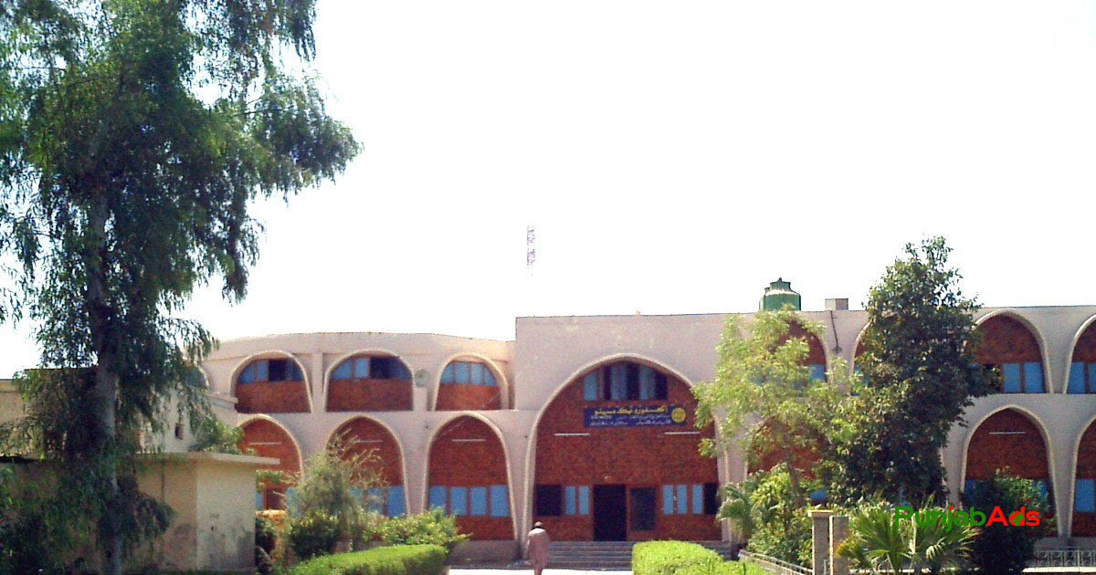 Top 10 Schools in Dokri