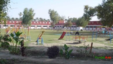 Top 10 Schools in Khairpur Mirs