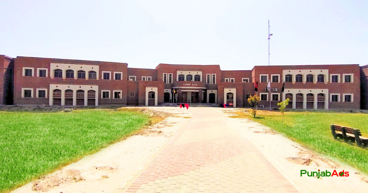 Top 10 Schools in Vehari