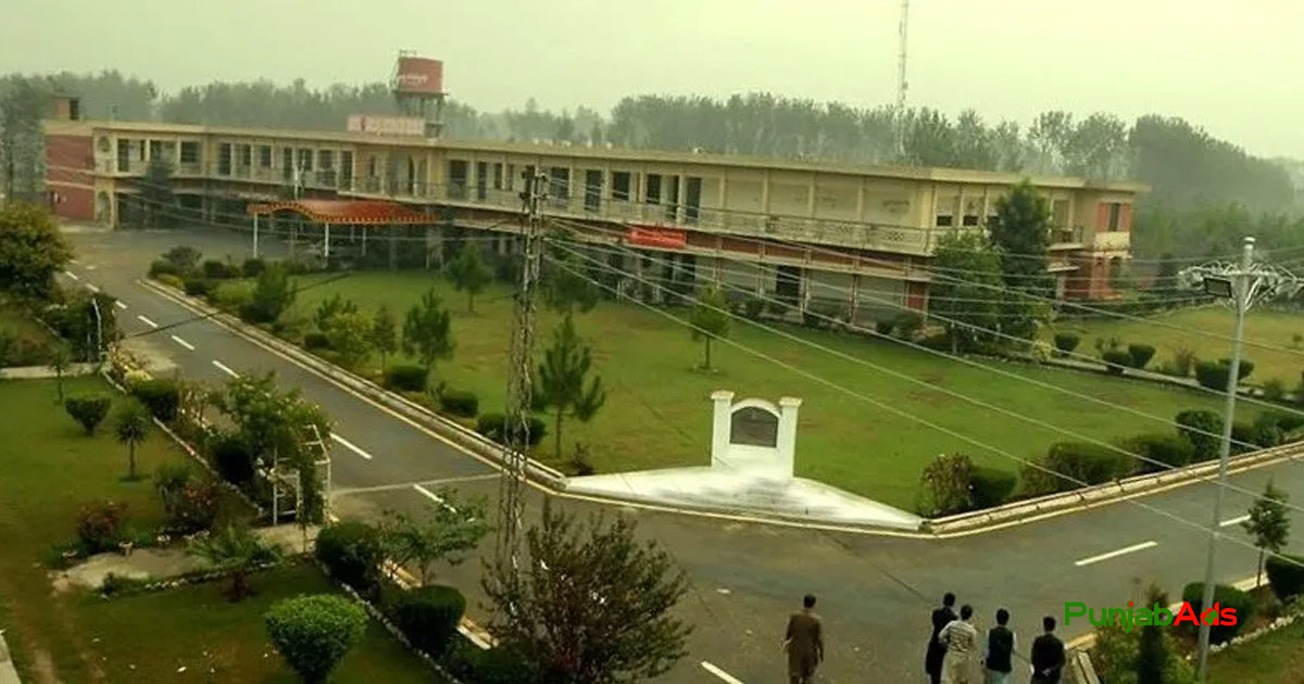 Top 10 Universities in Charsadda