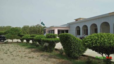 Top 10 Colleges in Khipro