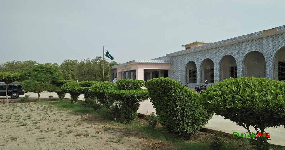 Top 10 Colleges in Khipro