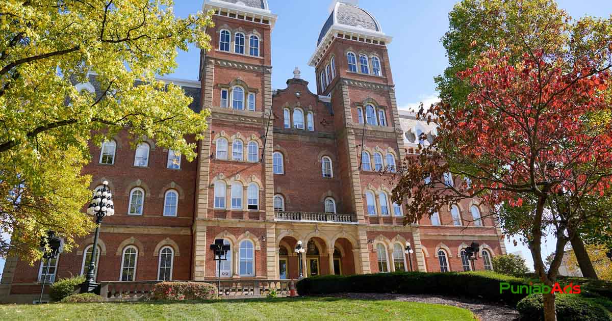 Top 10 Colleges in Pabbi