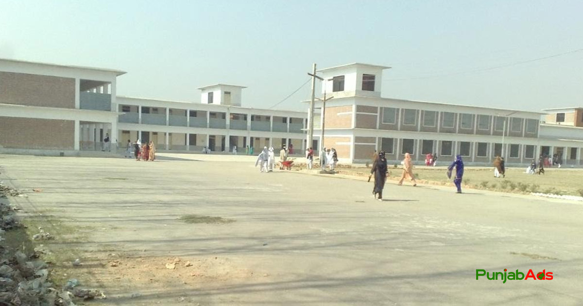 Top 10 Colleges in Takht-i-Bahi