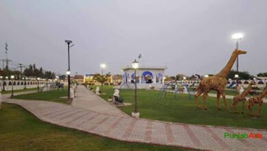 Top 10 Parks in Moro