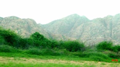 Top 10 Parks in Nagarparkar