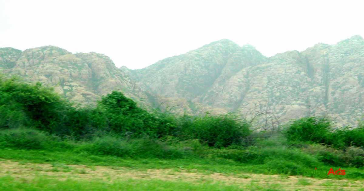 Top 10 Parks in Nagarparkar