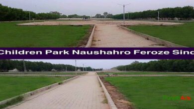 Top 10 Parks in Naushahro Feroze