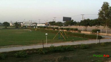 Top 10 Parks in Qasimabad
