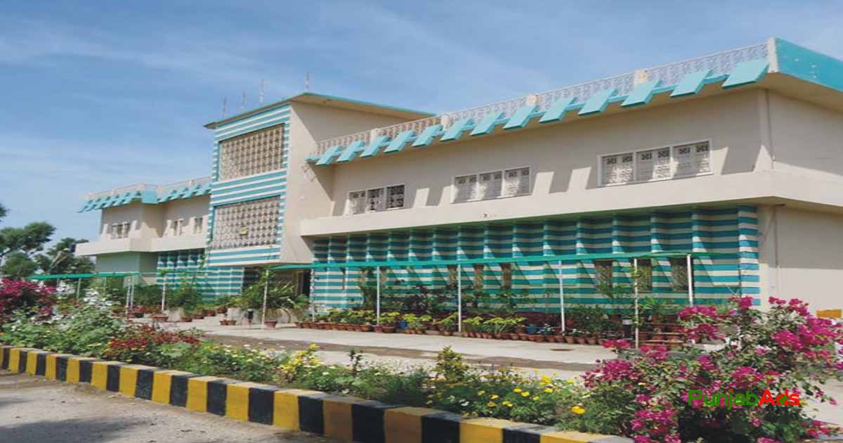 Top 10 Schools in Mirpur Khas