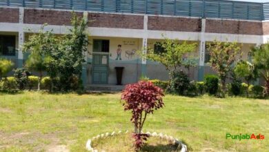 Top 10 Schools in Takht-i-Bahi