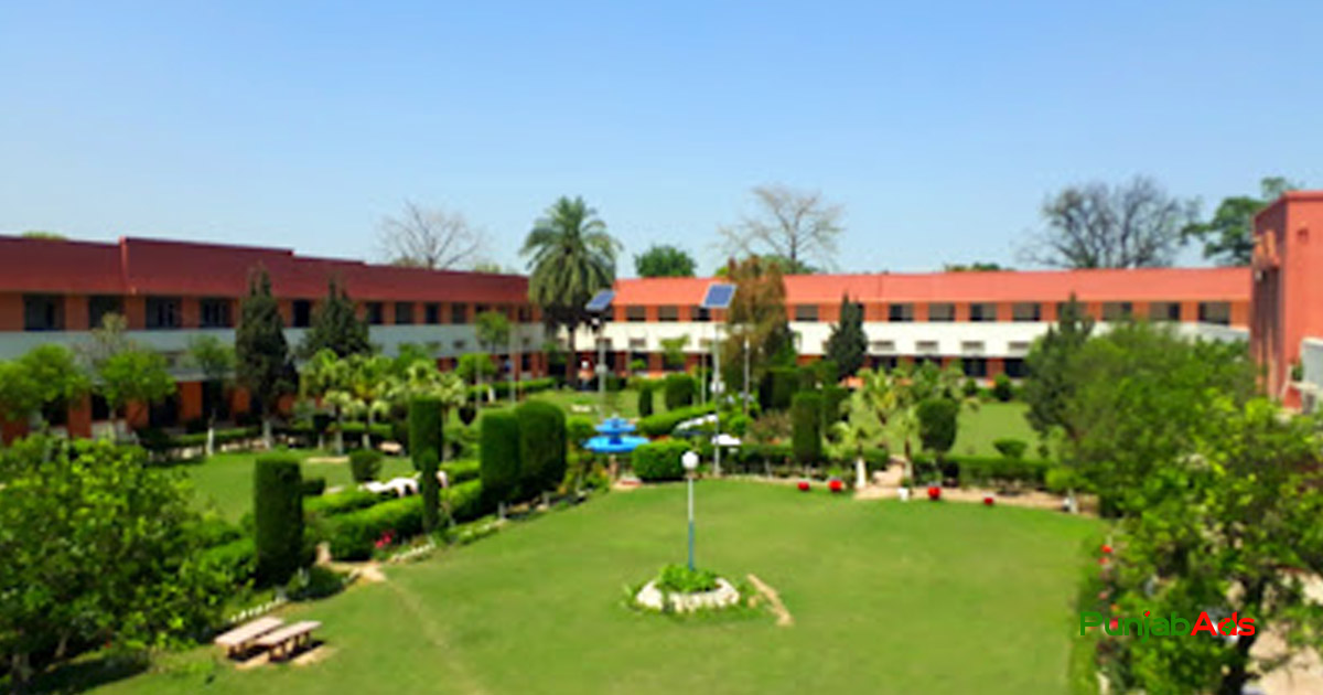 Top 10 Universities in Shabqadar