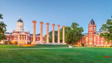 Top 10 Colleges in Tank