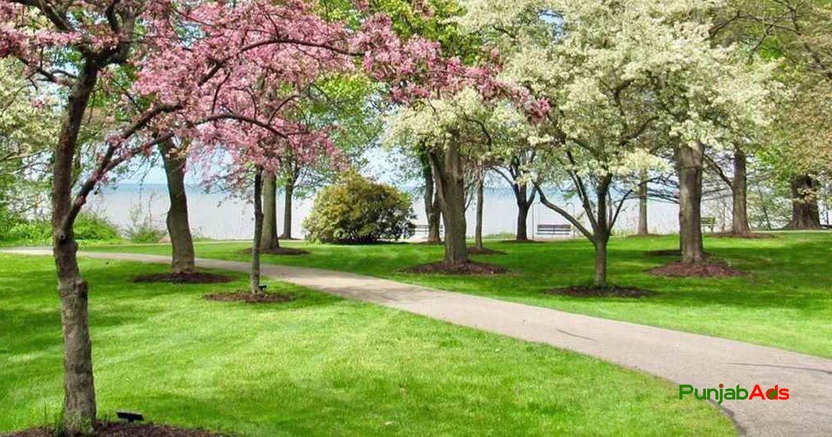 Top 10 Parks in Tank